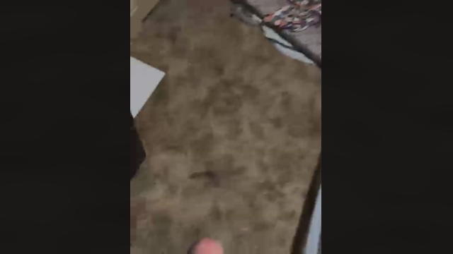 ThatBigDong99  02-03-2022